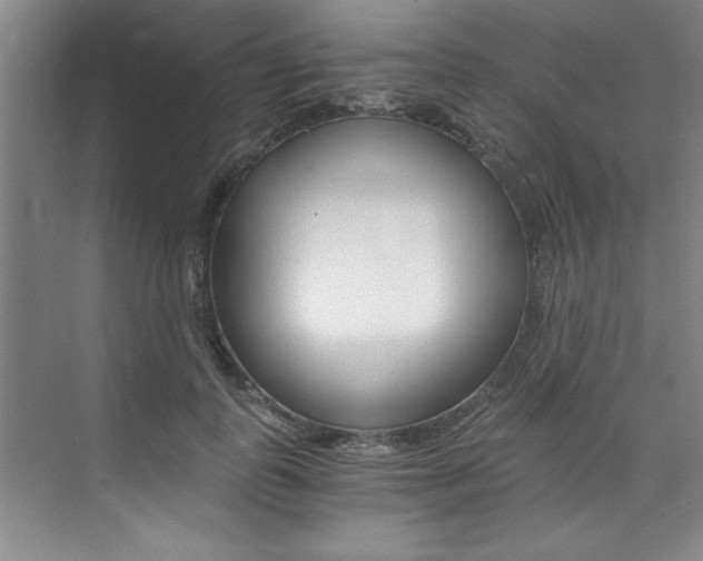 X0000073840747200608101027