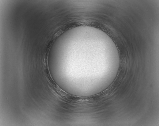 X0000073840749200608101027