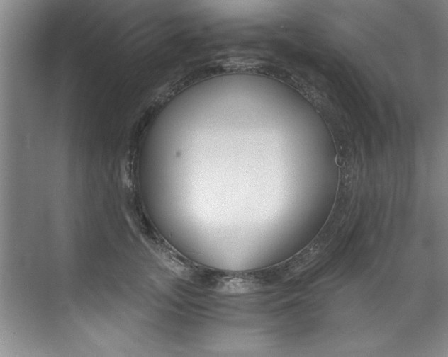 X0000073840755200608101027