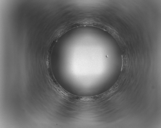 X0000073840762200608101027