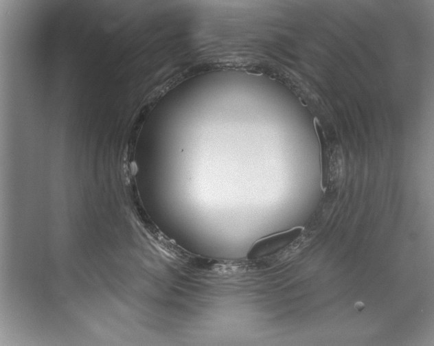 X0000073840764200608101027