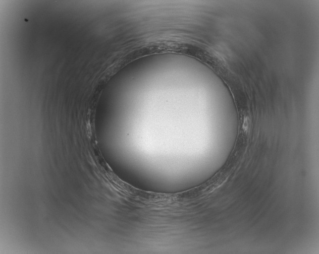 X0000073840771200608101026