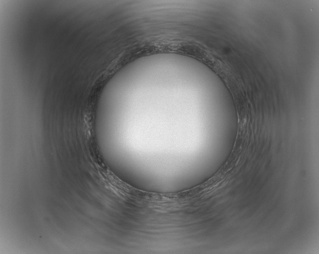 X0000073840772200608101026