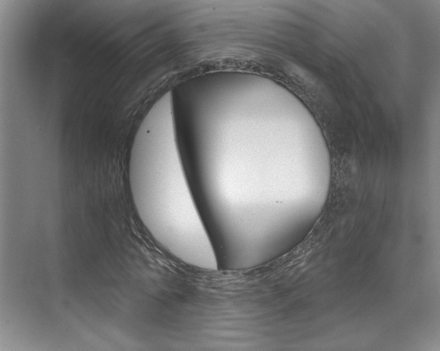 X0000073840774200608101026