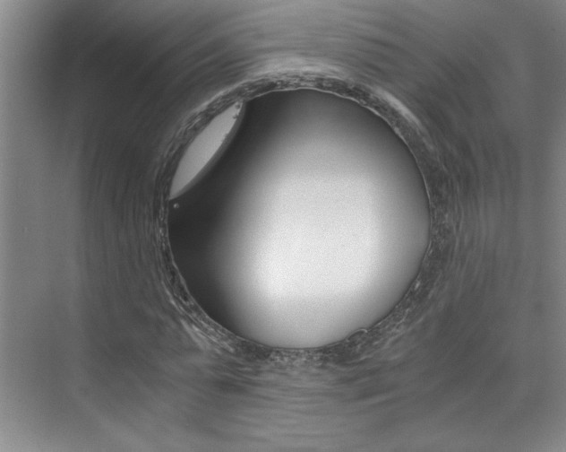 X0000073840775200608101026