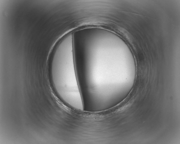 X0000073840779200608101026