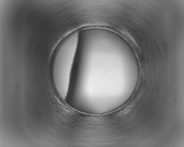 X0000073840781200608101026