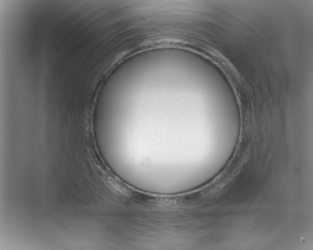X0000073840785200608101026