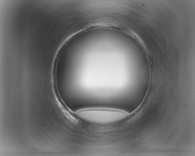 X0000073840795200608101026