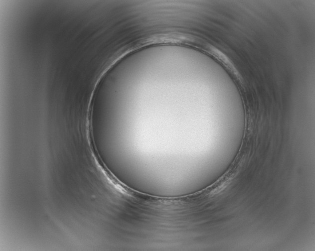 X0000073840802200608101026