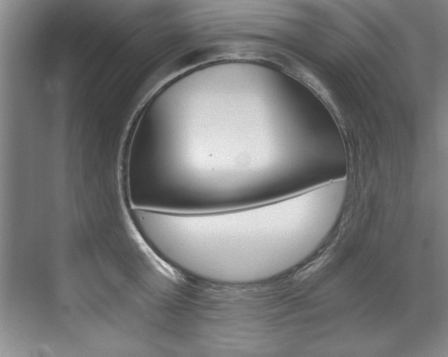 X0000073840803200608101026