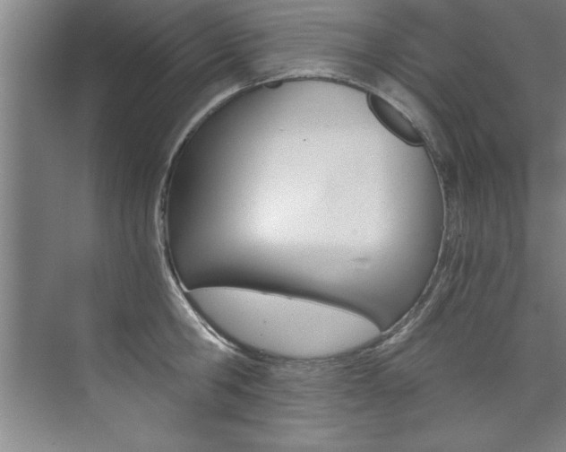 X0000073840806200608101026
