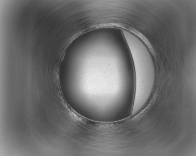 X0000073840809200608101026