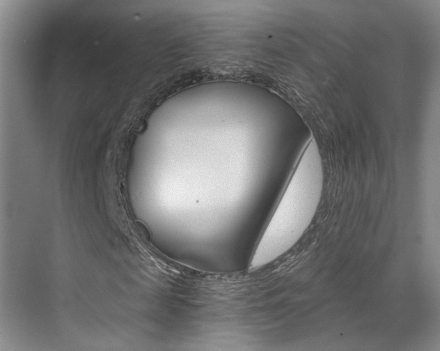 X0000073840817200608101025
