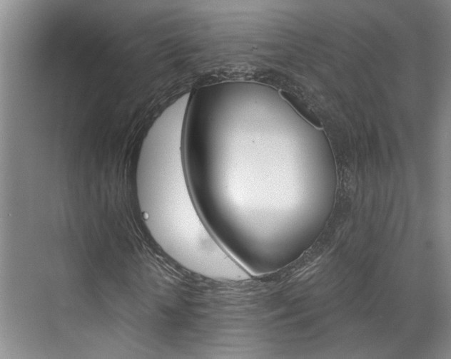 X0000073840818200608101025