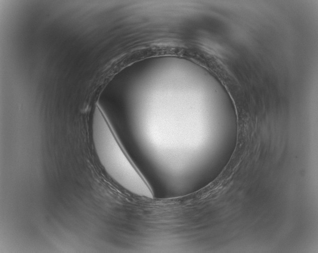 X0000073840821200608101025