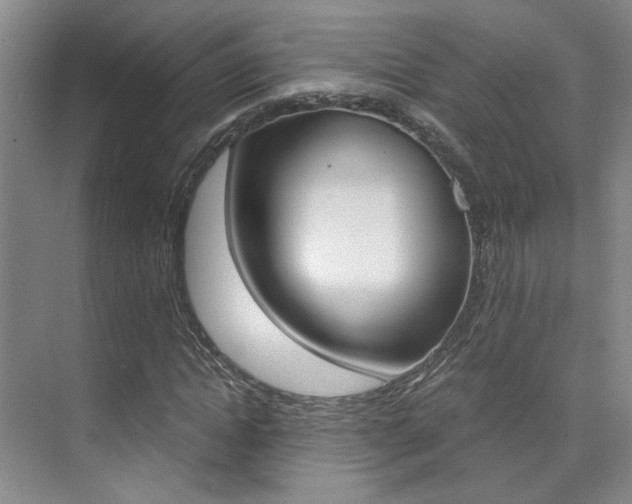 X0000073840822200608101025