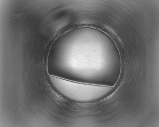 X0000073840825200608101025