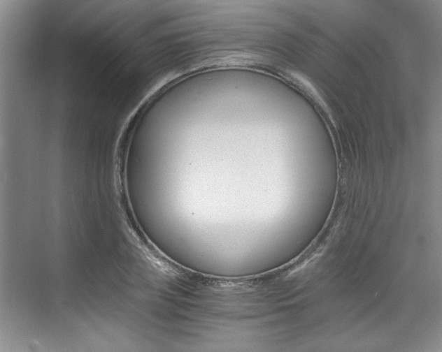 X0000073840835200608101025