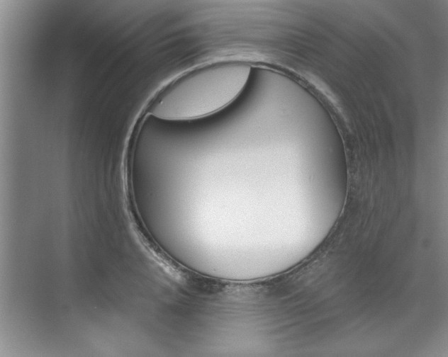 X0000073840840200608101025