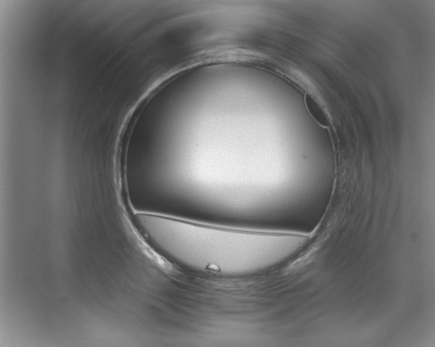 X0000073840843200608101025