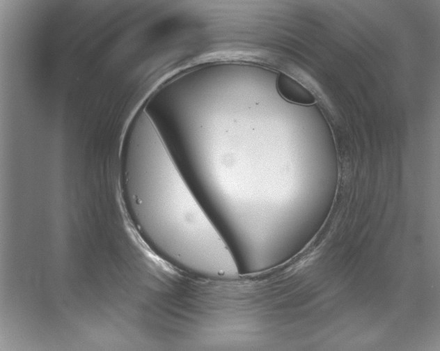 X0000073840844200608101025