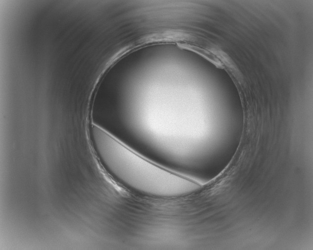 X0000073840850200608101025