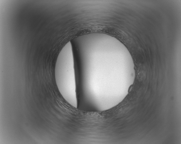 X0000073840866200608101025