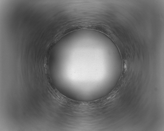 X0000073840867200608101025