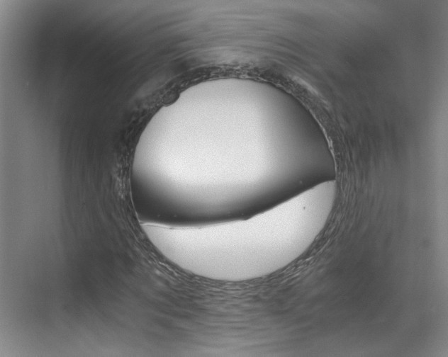 X0000073840869200608101025