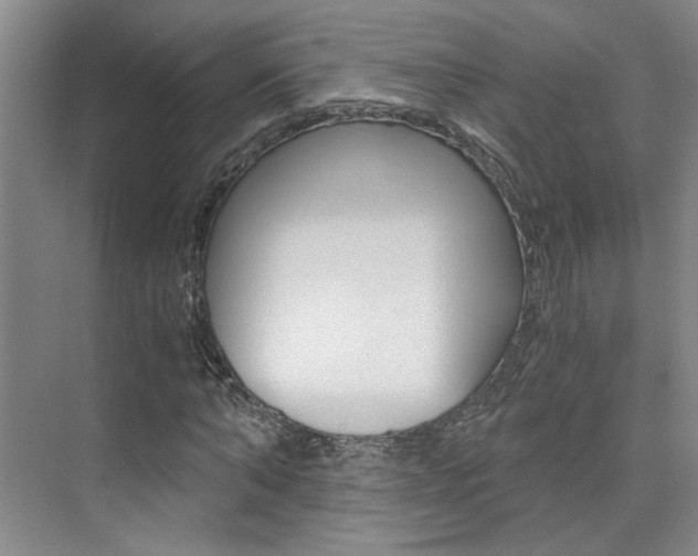 X0000073840870200608101025