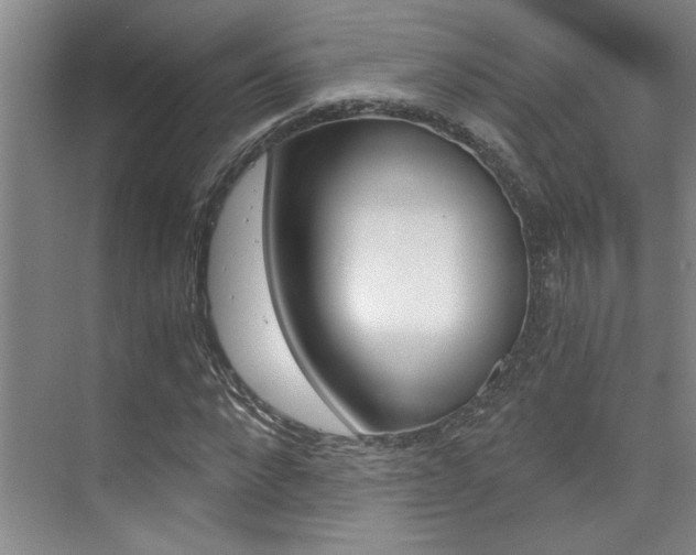 X0000073840872200608101025