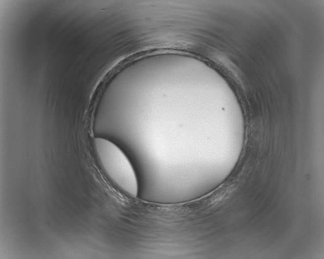 X0000073840875200608101024