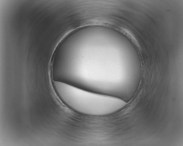 X0000073840899200608101024