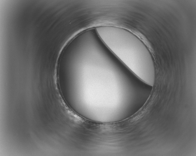 X0000073840904200608101024
