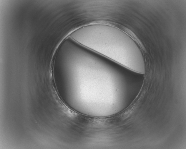 X0000073840908200608101024