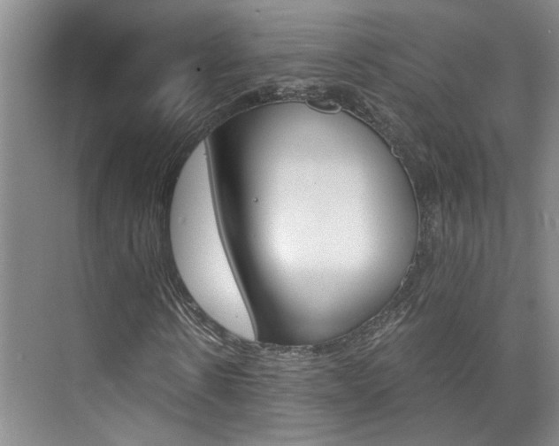 X0000073840914200608101023