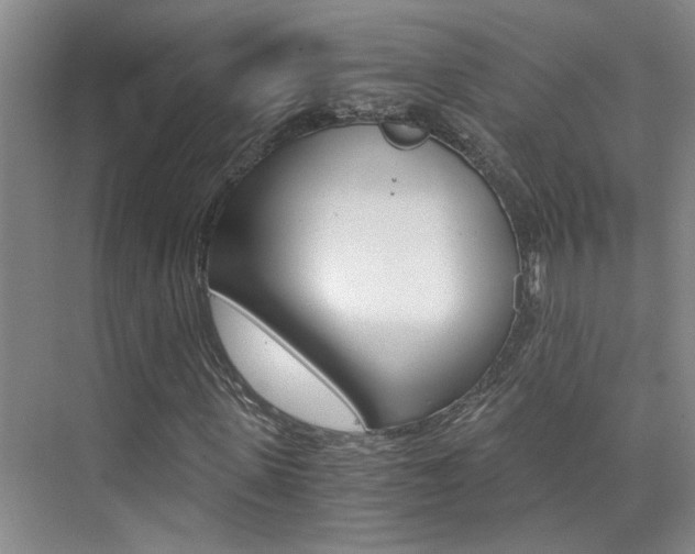 X0000073840915200608101023