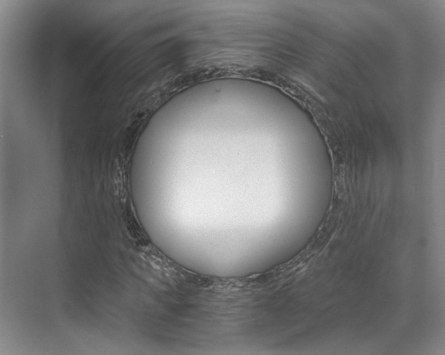 X0000073840917200608101023