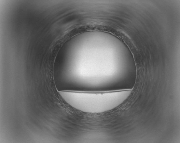 X0000073840919200608101023