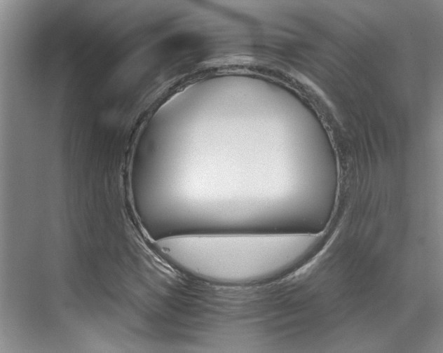 X0000073840921200608101023