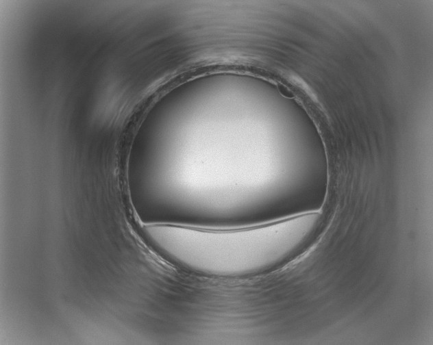 X0000073840922200608101023