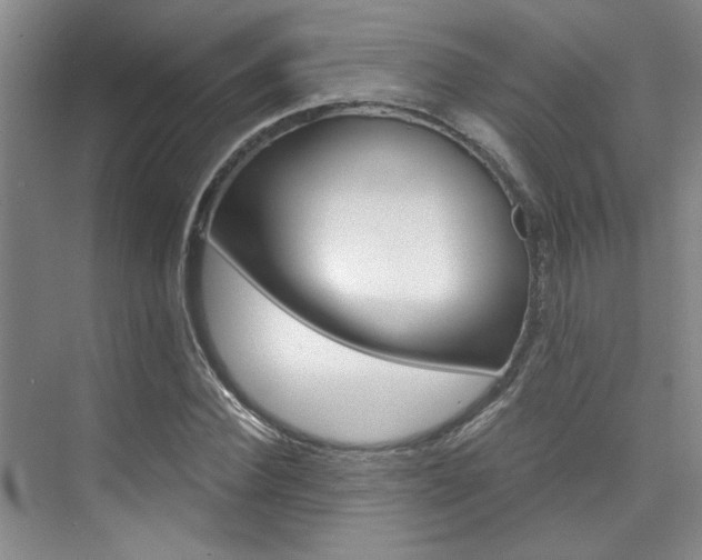 X0000073840924200608101023