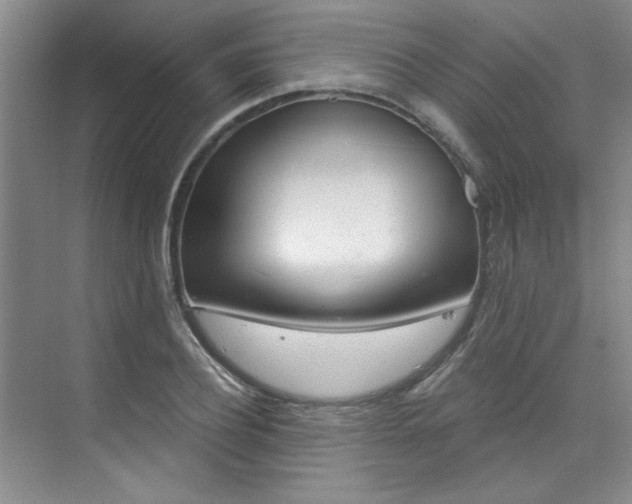 X0000073840932200608101023