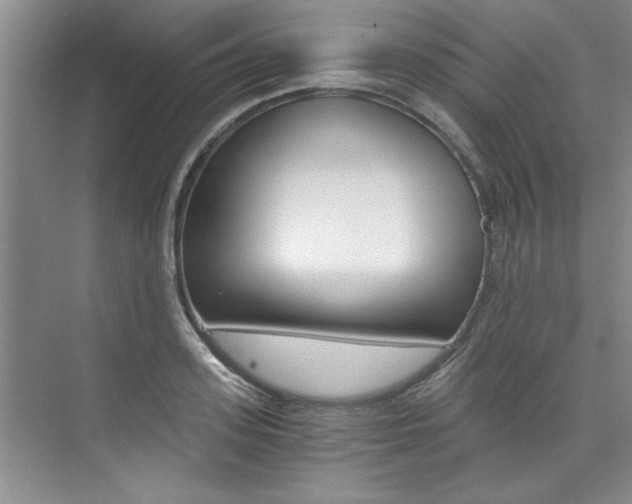 X0000073840939200608101023