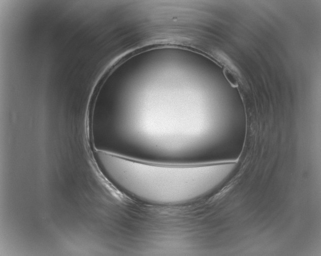X0000073840940200608101024