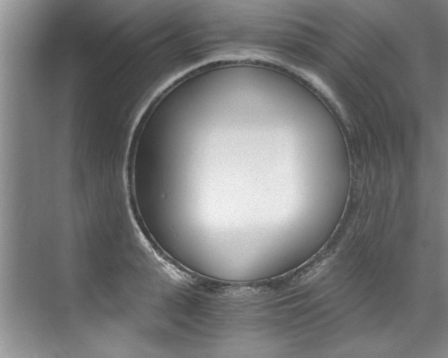 X0000073840943200608101024