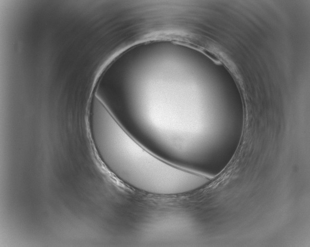 X0000073840960200608101024
