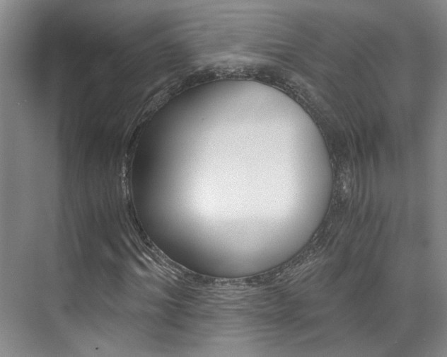 X0000073840964200608101023