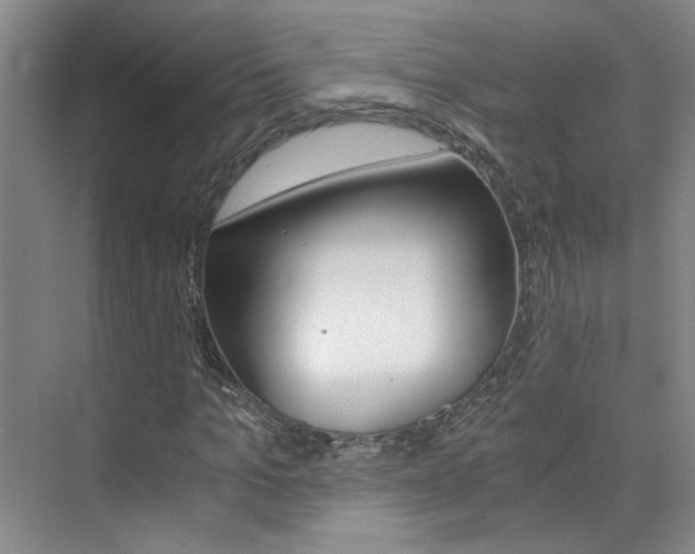 X0000073840965200608101023